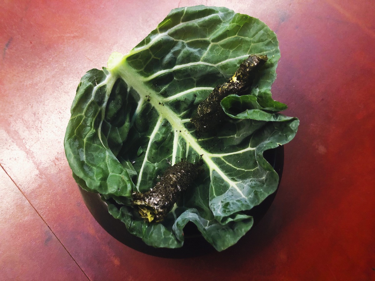 crispy braised collard greens and oysters at Catbird Seat in Nashville