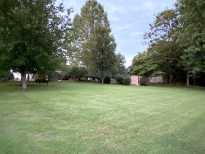 Peaceful, park-like back yard in Wilson County, TN