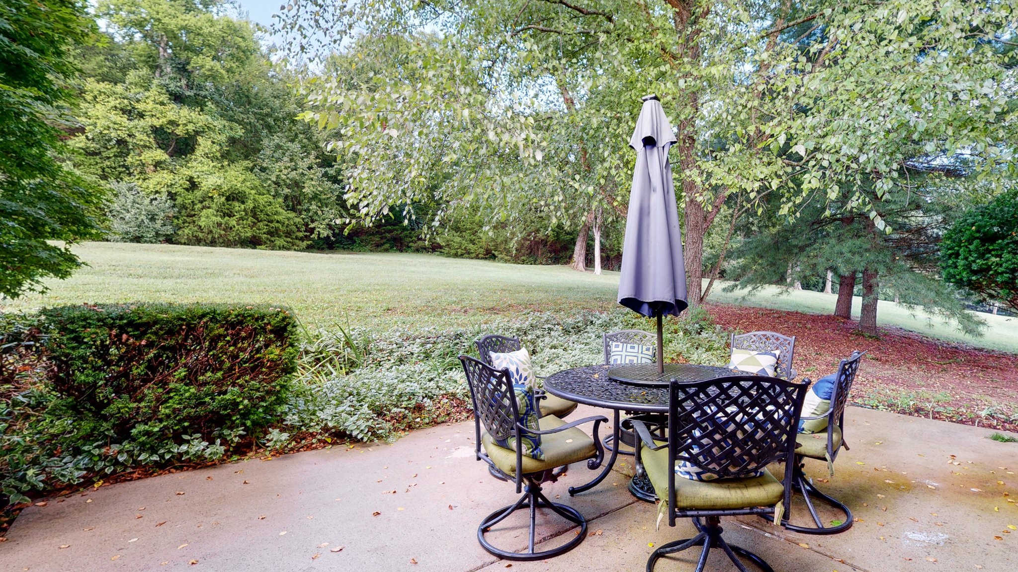 1620 Callie Way Drive - Franklin, TN Real Estate