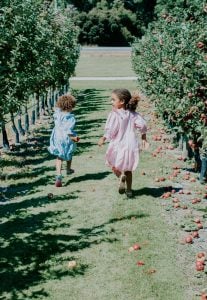 Middle Tennessee apple orchards and events this month