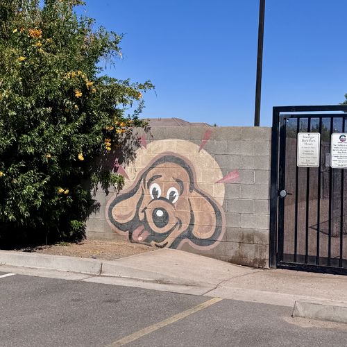 Pet-Friendly Adventures in Chandler, Arizona: Top Parks, Patios & Trails