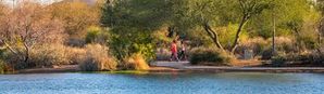 veteran oasis park