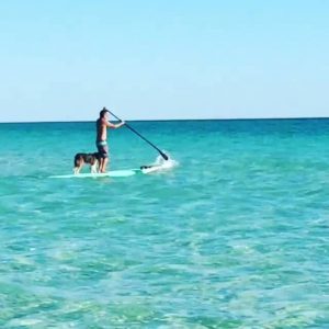 Beach Safety Rip Current and Flag Warnings