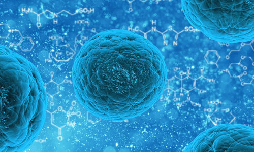 COVID-19 CDC Factsheet