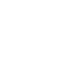Icon 8